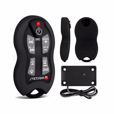 Control Remoto, Mando A Distancia Stetsom Sx2 Para Radio